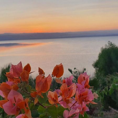Comfy Stays Sea View Apartments At Deadsea Samarah Resort Sweimeh Kültér fotó