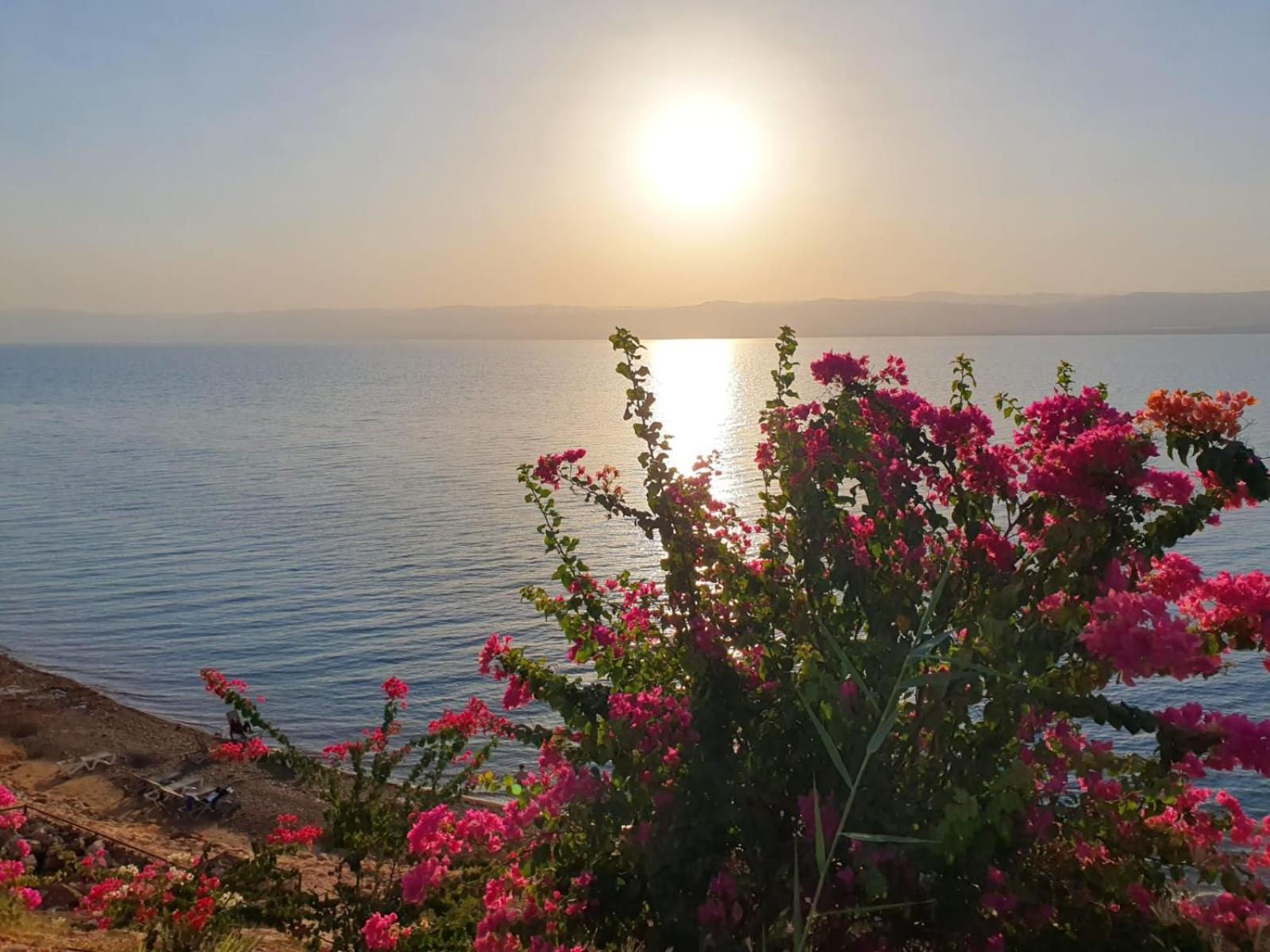 Comfy Stays Sea View Apartments At Deadsea Samarah Resort Sweimeh Kültér fotó